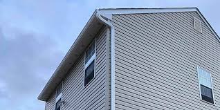 Best Siding Painting and Refinishing  in Wichita Falls, TX